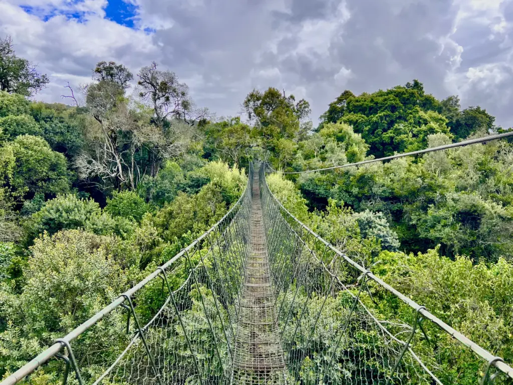 Ngare Ndare - more than just a hike