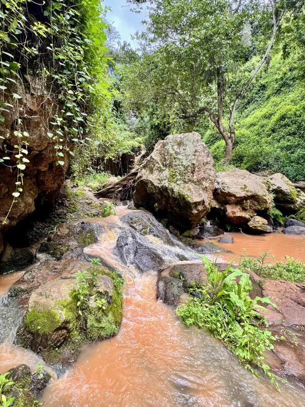 The Ngare Ndare River - a slippery hike toward the waterfall