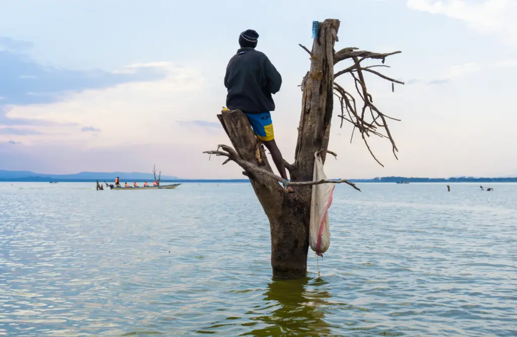 Lake Naivasha - Person on a Dead Tree in the Water Looking at a Boat