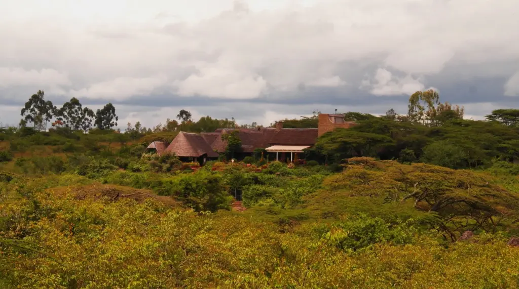 Nairobi National Park - Ololo Safari Lodge & Farm