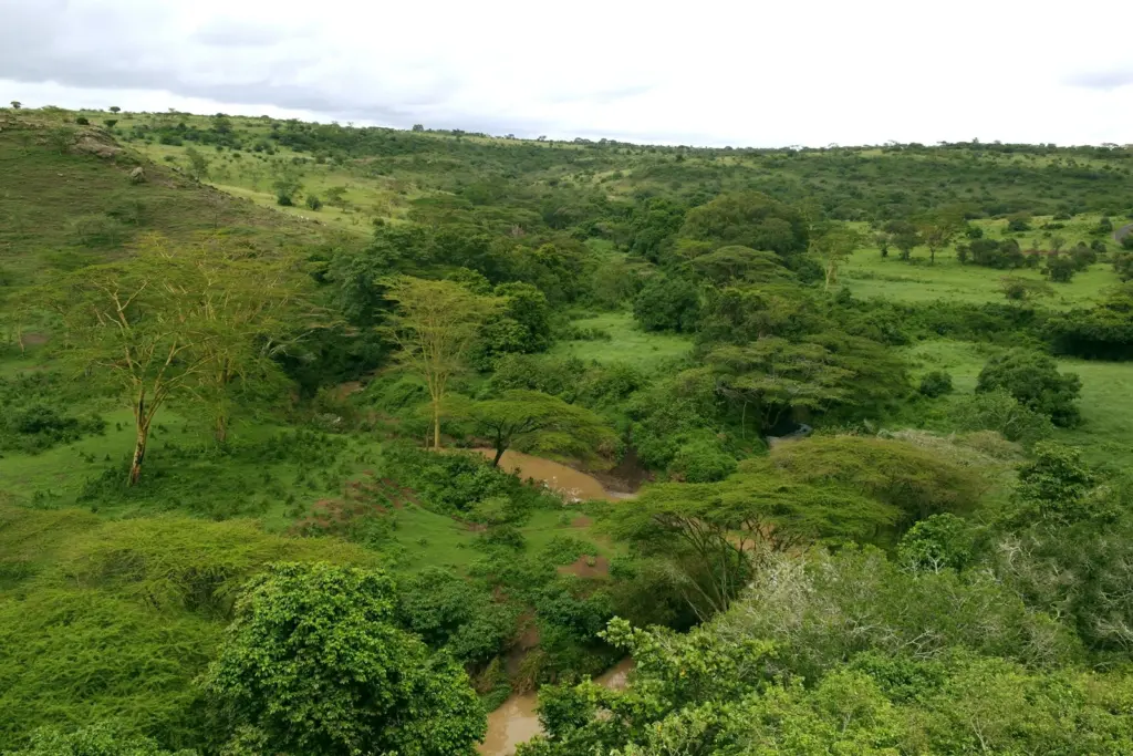 Nairobi National Park Scenery