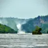Murchison Falls - Bottom of the Falls