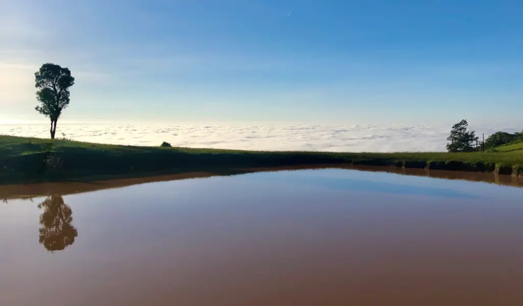 Ngong Hills Small Dam at Sunrise