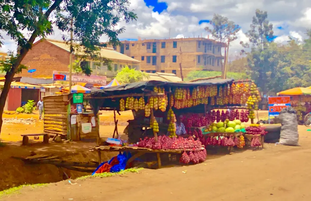 Sultan Hamud – shop along the road